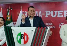 PRI señala que caso de menor que asesinó a profesoras expone proliferación de armas en Michoacán