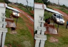 #VIDEO // Sujeto atropella a su esposa y luego la golpea brutalmente en plena calle