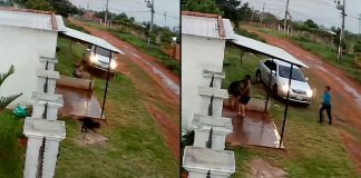 #VIDEO // Sujeto atropella a su esposa y luego la golpea brutalmente en plena calle