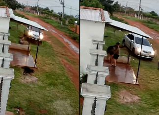 #VIDEO // Sujeto atropella a su esposa y luego la golpea brutalmente en plena calle