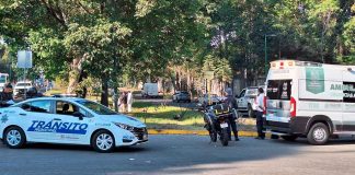 Motociclista muere al chocar contra un árbol en el Libramiento de Uruapan