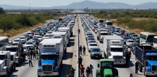 Transportistas alistan paro nacional y bloqueos en carreteras del país