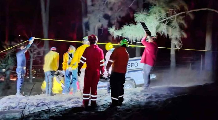 Rescatan cuerpos de dos brigadistas fallecidos en incendio forestal en Tacámbaro