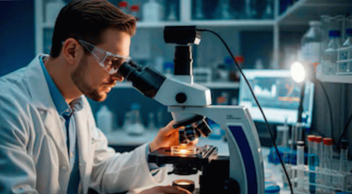 Descubren cómo el parásito de la malaria manipula el sistema inmunitario