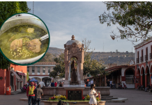 Pozole de elote, tradición que da sabor a Jiquilpan