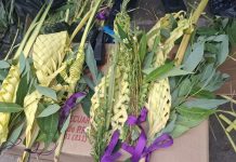 Morelianos acuden a las iglesias por Domingo de Ramos