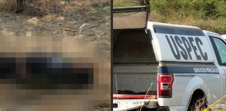 Localizan a hombre ejecutado a la orilla de la Cuitzeo–San Agustín del Pulque