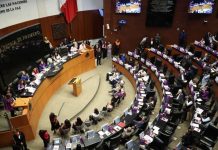 PT y PVEM respaldarán en el Senado el “Plan B” de la reforma electoral de Sheinbaum