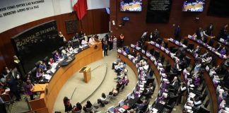 PT y PVEM respaldarán en el Senado el “Plan B” de la reforma electoral de Sheinbaum