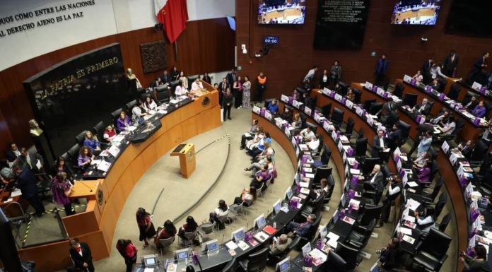 PT y PVEM respaldarán en el Senado el “Plan B” de la reforma electoral de Sheinbaum