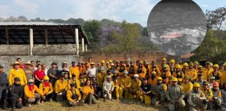 Controlan el incendio forestal en Tzitzio; el 95 por ciento del fuego ha sido extinguido