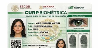 CURP biométrica 2026: cómo tramitar la nueva clave y dónde sacarla
