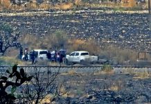 Localizan cadáver en avanzado estado de descomposición a un costado de las vías del tren en La Piedad