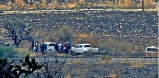 Localizan cadáver en avanzado estado de descomposición a un costado de las vías del tren en La Piedad