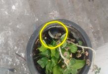 Hallan granada de gas en el fraccionamiento Hacienda del Sol, Tarímbaro