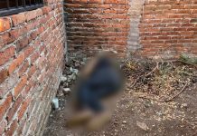 De cinco balazos matan a un hombre, en vivienda de Jacona