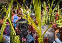 ¿Por qué guardamos las palmas en casa? El origen de esta creencia