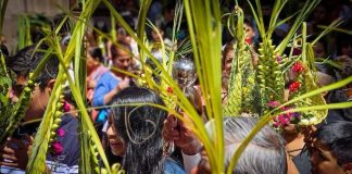 ¿Por qué guardamos las palmas en casa? El origen de esta creencia