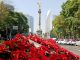 CDMX se llena con 1 millon de plantas rumbo al Mundial 2026