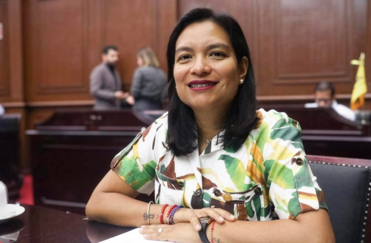 Eréndira Isauro propone regular propaganda digital electoral