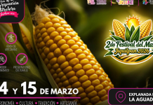 Llega la Segunda Edición del Festival del Maíz al Pueblo Mágico de Jiquilpan