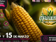 Llega la Segunda Edición del Festival del Maíz al Pueblo Mágico de Jiquilpan