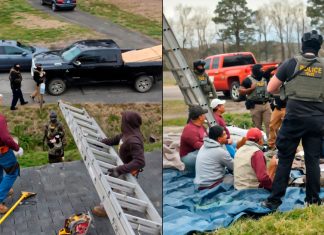 VIDEO | ICE detiene a trabajadores tras ser reportados por la mujer a la que le arreglaron su casa ICE-detiene-trabajadores-guatemaltecos-reportados-mujer-Maryland
