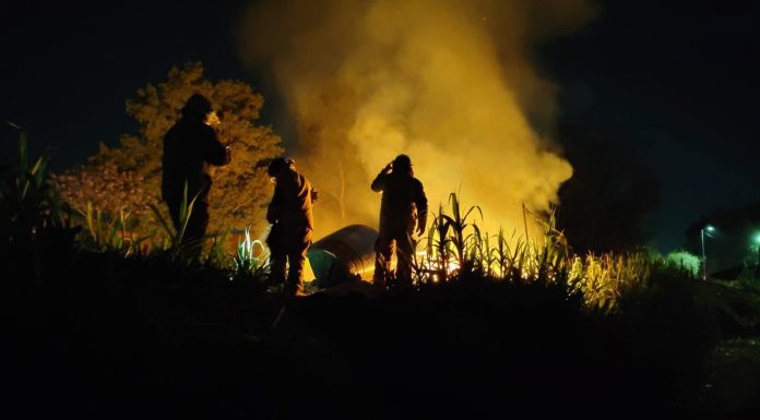Arde casita de madera en la colonia Jacarandas, Morelia