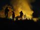 Arde casita de madera en la colonia Jacarandas, Morelia