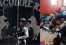 Sobreviviente revela que el CJNG asesinaba al 80% de sus reclutas en campos de entrenamiento.