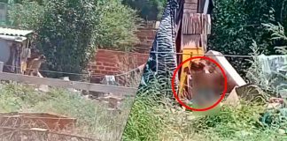 #VIDEO // Presunto caso de maltrato infantil en González Catán tras video difundido en redes