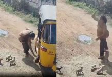 #VIDEO FUERTE // Mujer mata a cachorros azotándolos contra la pared