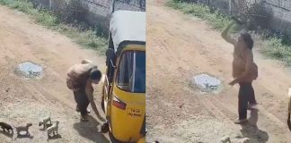 #VIDEO FUERTE // Mujer mata a cachorros azotándolos contra la pared