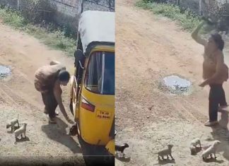 #VIDEO FUERTE // Mujer mata a cachorros azotándolos contra la pared