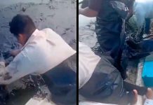 Emergencia ambiental en el Golfo: mancha de chapopote impacta 16 playas y paraliza la pesca