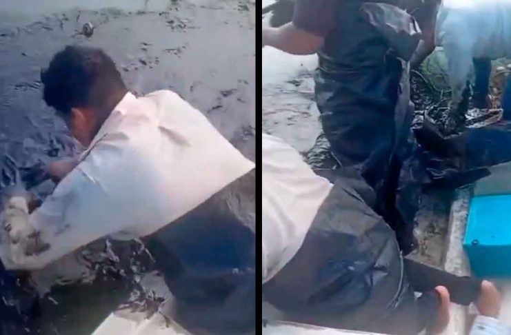 #VIDEO// Emergencia ambiental en el Golfo: mancha de chapopote impacta 16 playas y paraliza la pesca