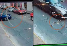 #VIDEO // Enorme serpiente cae en plena calle del Centro de Morelia