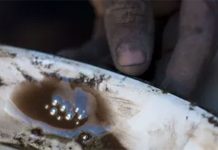 Interceptan en Perú cargamento con mercurio oculto procedente de México