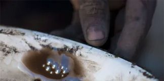 Interceptan en Perú cargamento con mercurio oculto procedente de México