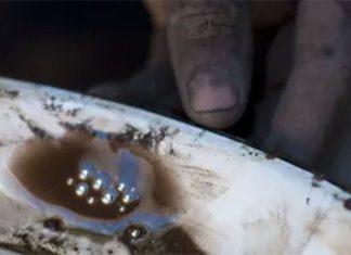 Interceptan en Perú cargamento con mercurio oculto procedente de México