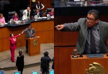 “Demuéstreme que soy un narco”: Saúl Monreal y Lilly Téllez chocan en el Senado durante el debate del Plan B Saúl Monreal y Lilly Téllez chocan en el Senado durante el debate del Plan B