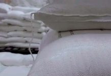 Contrabando de azúcar desde Guatemala golpea al sector cañero mexicano