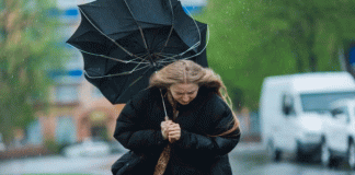 Vientos fuertes ponen en alerta a la CDMX este 29 de marzo.