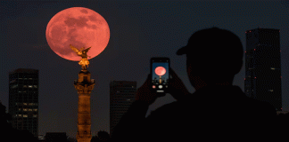 Luna Rosa 2026: disfruta la primera Luna llena de la primavera