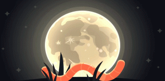 Luna llena de marzo 2026: descubre cuándo y cómo observar la famosa Luna de Gusano