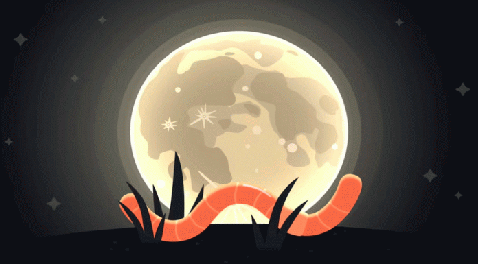 Luna llena de marzo 2026: descubre cuándo y cómo observar la famosa Luna de Gusano