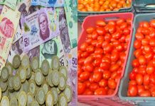 ¡Por las nubes! El jitomate alcanza los 60 pesos el kilo