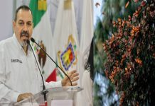 Secretaría de Medio Ambiente explica el funcionamiento del Fondo Monarca