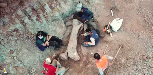 Descubren en Brasil un dinosaurio gigante de 20 metros vinculado a especie europea