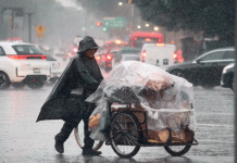Frente Frío 41 llega a México: lluvias intensas y bajas temperaturas en varios estados